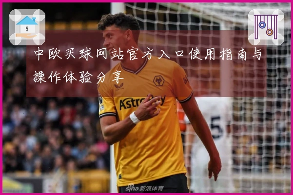 中欧买球网站官方入口使用指南与操作体验分享
