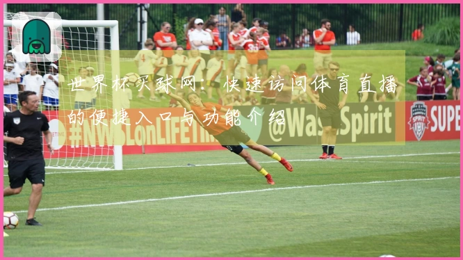 世界杯买球网：快速访问体育直播的便捷入口与功能介绍