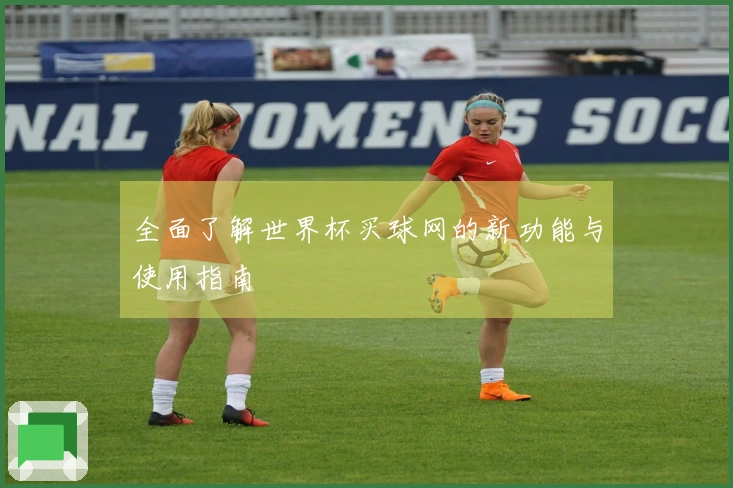 全面了解世界杯买球网的新功能与使用指南