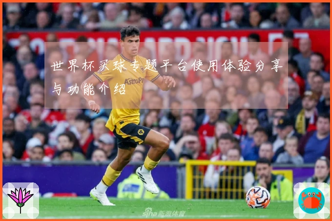 世界杯买球专题平台使用体验分享与功能介绍