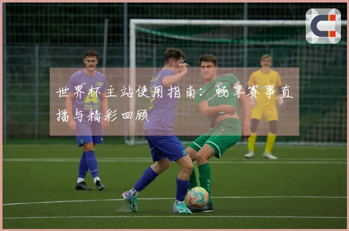 世界杯主站使用指南：畅享赛事直播与精彩回顾