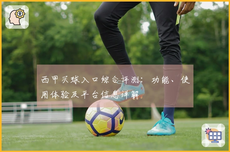 西甲买球入口综合评测：功能、使用体验及平台信息详解