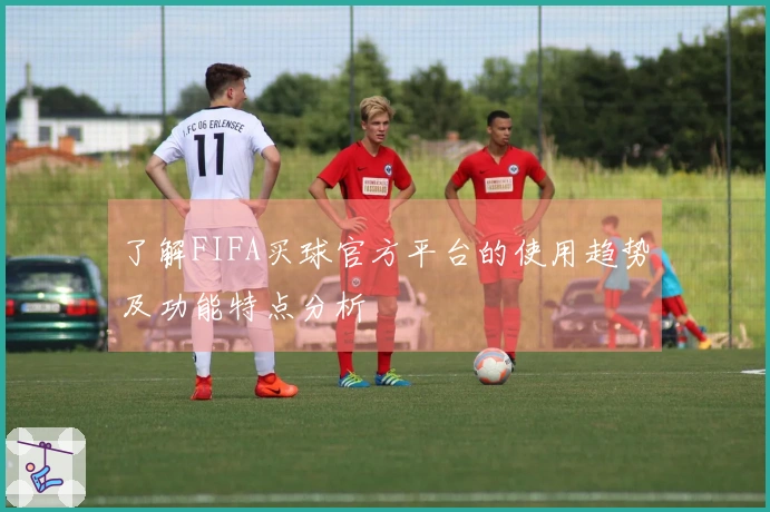 了解FIFA买球官方平台的使用趋势及功能特点分析