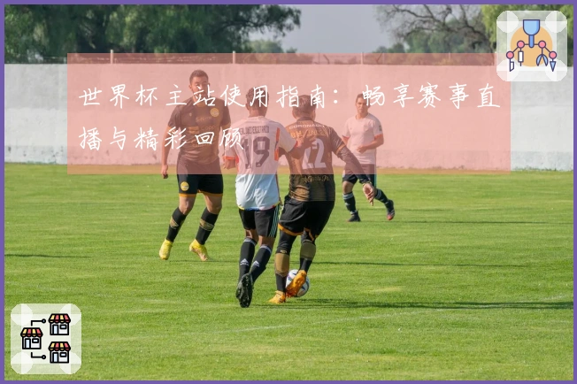 世界杯主站使用指南：畅享赛事直播与精彩回顾
