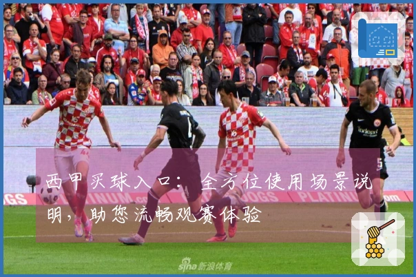西甲买球入口:全方位使用场景说明,助您流畅观赛体验