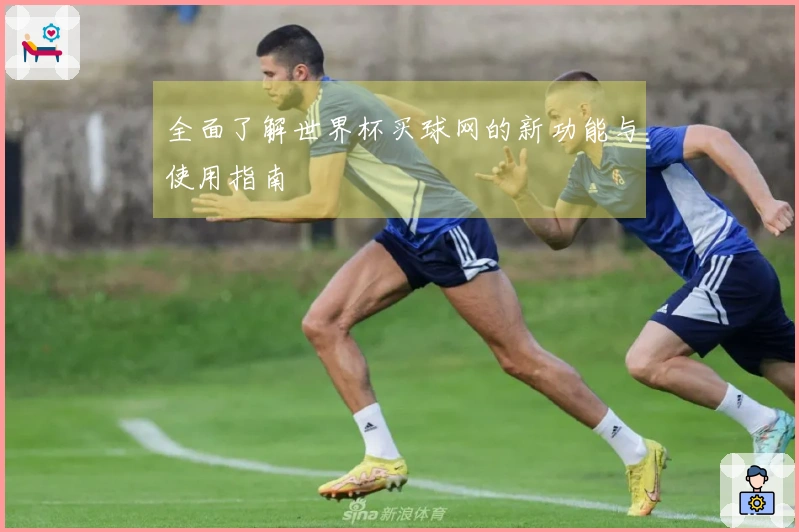 全面了解世界杯买球网的新功能与使用指南