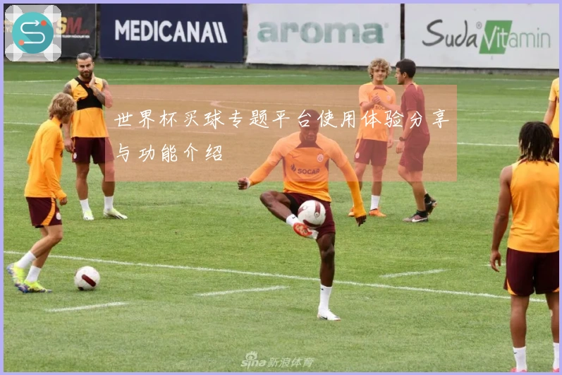 世界杯买球专题平台使用体验分享与功能介绍