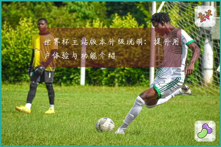 世界杯主站版本升级说明：提升用户体验与功能介绍